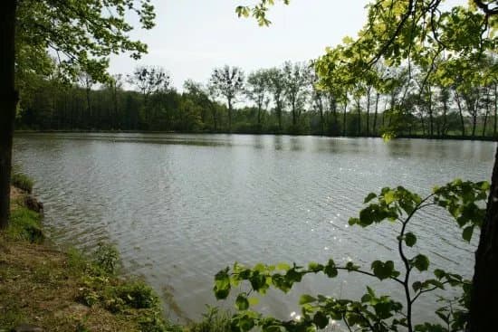 Hvozdnice Trail