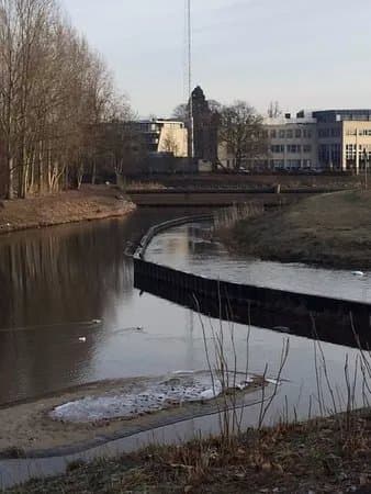 Natuurgebied Hammerveld-Oost