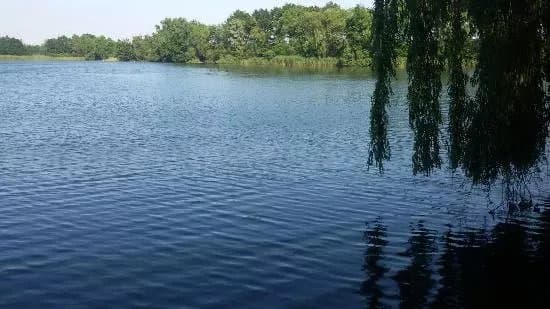 Winkelcentrum Roselaar