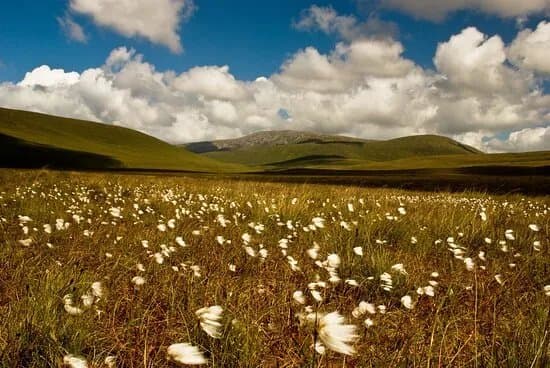 Wild Nephin National Park - Ballycroy Visitor Centre