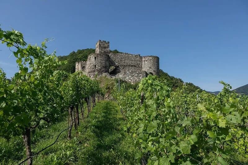 Pure relaxation in the Wachau wine growing region