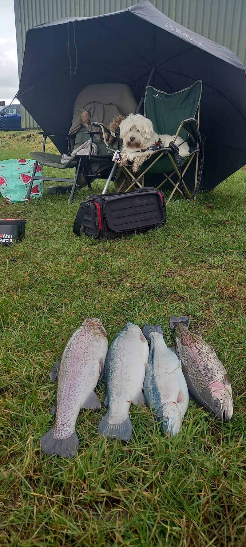 Burns trout fishery