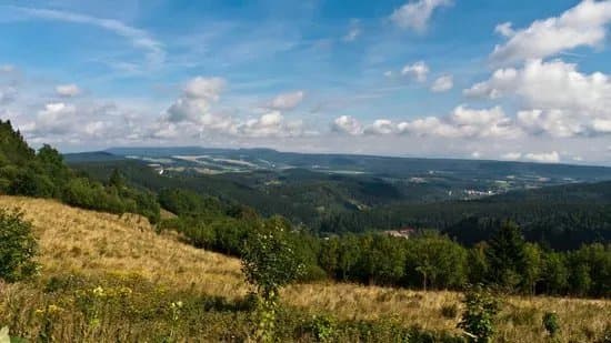 Zieleniec