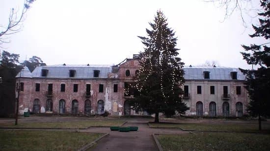 Narva Joesuu