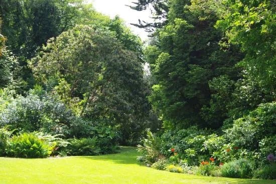 Parc Emmanuel Liais