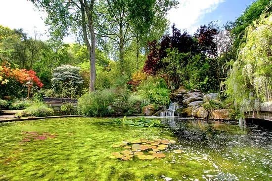 Pinetum Gardens