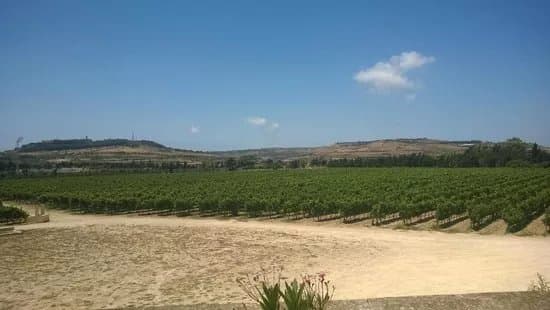 Meridiana Wine Estate
