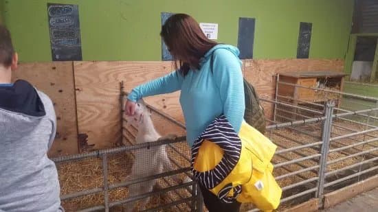 Red Mountain Open Farm