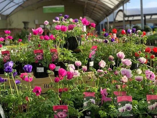 Sanders Garden Centre