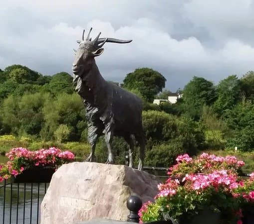 Puck Fair