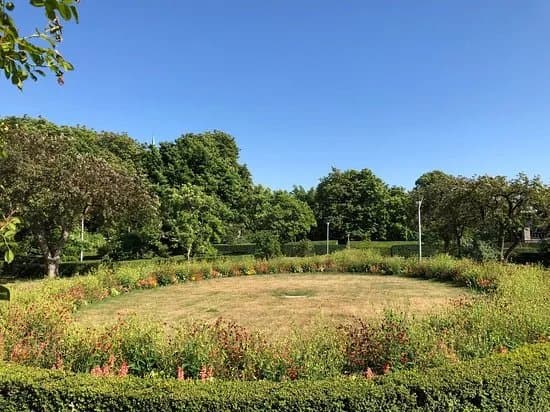 Rosentradgarden