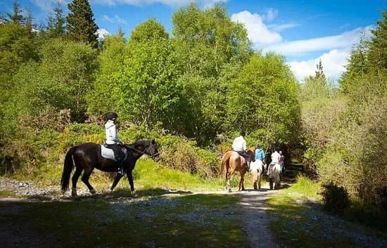 Slieve Aughty Centre