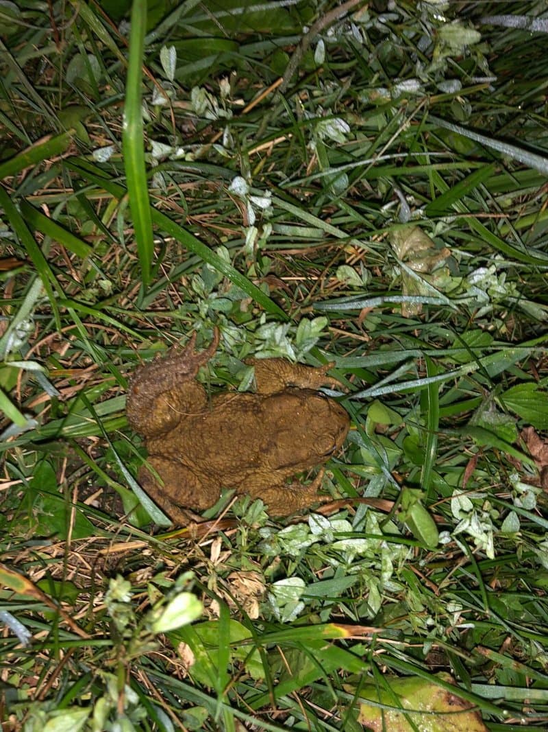 Skulpturenpark Bad Mitterndorf