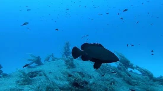 DiveBase Malta