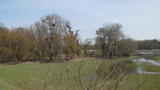 WWF Stork Sanctuary