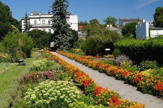 The Botanical Garden of the Jagiellonian University