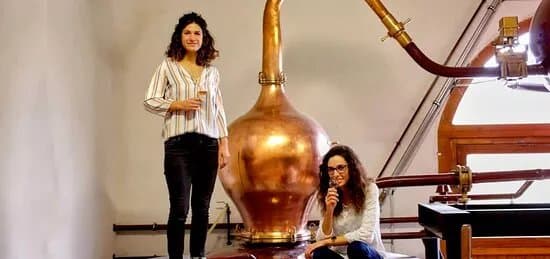 Cognac Guillon-Painturaud