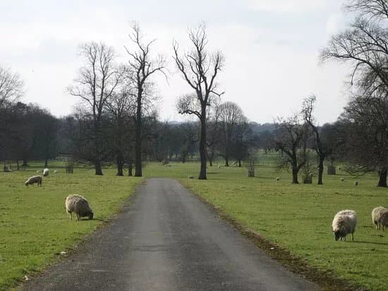 Dalton Estate