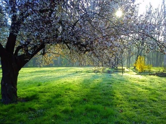 Maksimir Park (Maksimirirski perivoj)