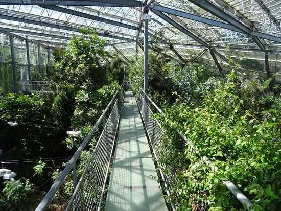 Hortus Botanicus