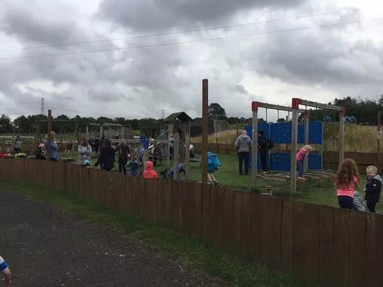 Down at the Farm