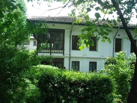 Theodor Pallady Museum