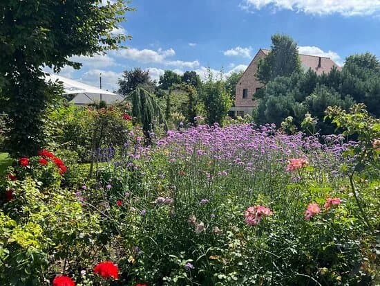 Rose Garden ADR Rosarium Geistinger Landhoff