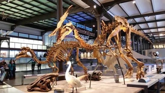 Museum of Natural Sciences