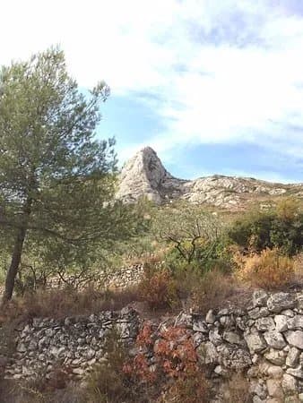 Parc des Bruyeres