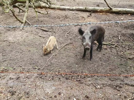 Wild-En Wandel Park