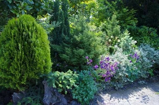 Botanical Garden