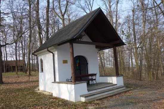 Weinmuseum Moschendorf