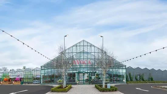 Avoca - Dunboyne
