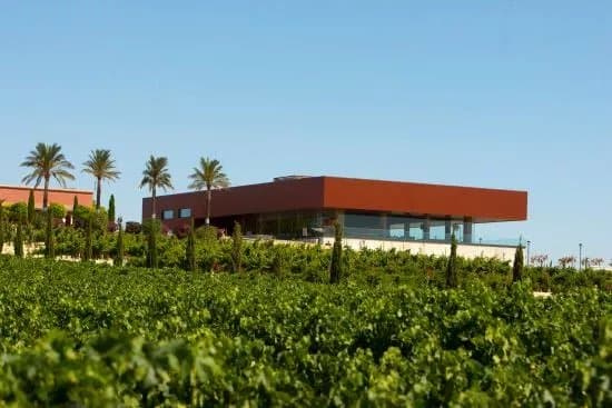 Bodegas Luis Perez