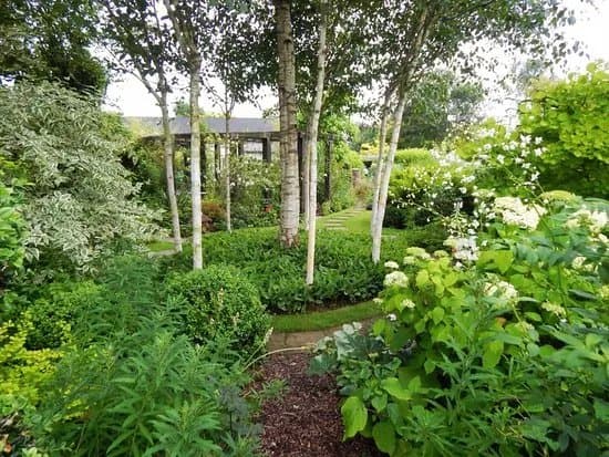Terra Nova Garden