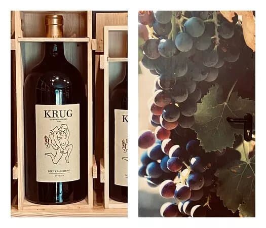 Lesu Wine Concept