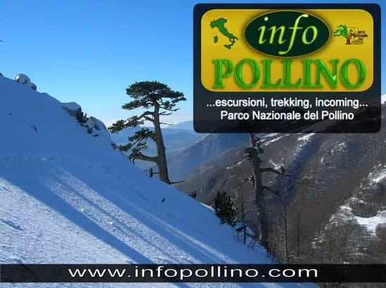 Info Pollino