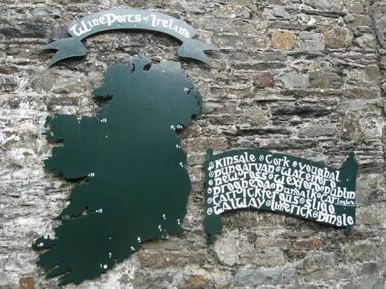 Desmond Castle & International Museum of Wine