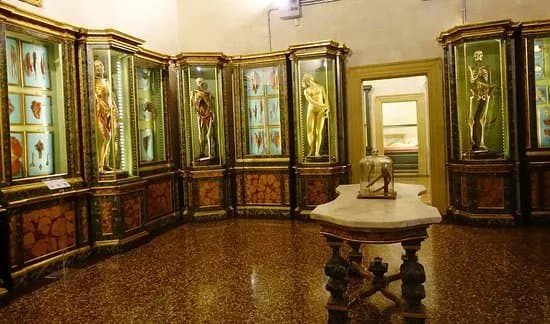 Museo di Palazzo Poggi