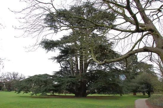 Boston Manor Park