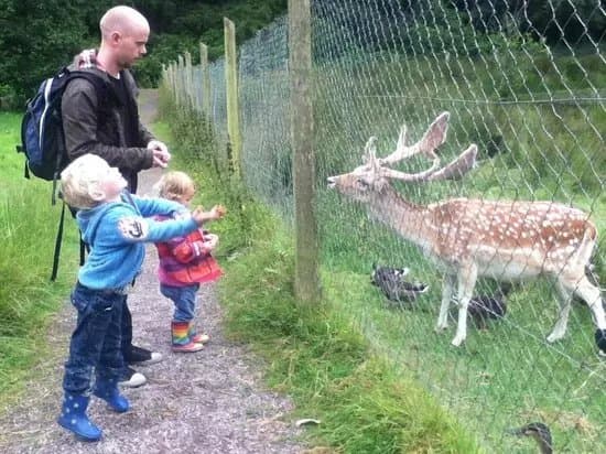 Farran Forest Park