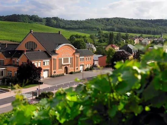 Domaines Vinsmoselle - Caves des Vignerons Wellenstein