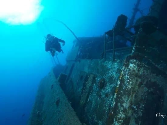 Ecological Divers Tenerife