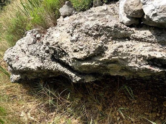 Poucna staza "Francuska cesta"