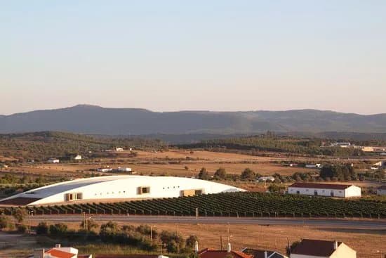 Tiago Cabaco Winery