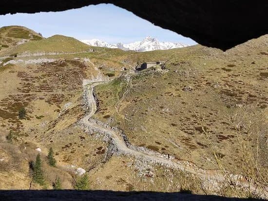 Alpine Wall Theme Trail