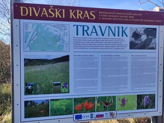 The Risnik Collapse Doline