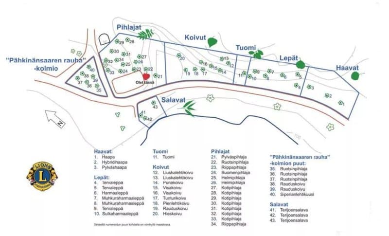 Lehtipuulajipuisto
