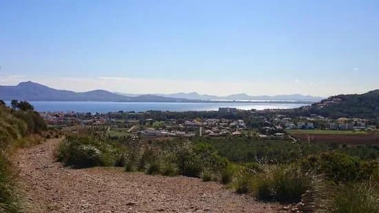 Playa del Puerto de Pollensa