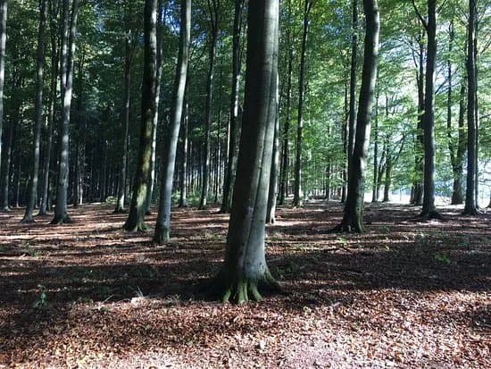 Parc a Gibier